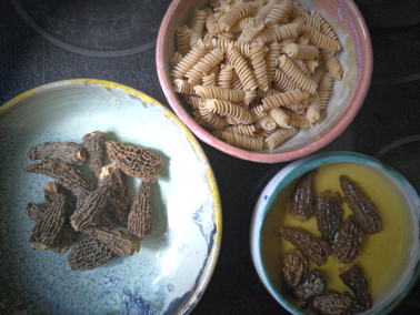 Today's menu: pasta with morel sauce.