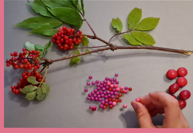 Beeren aus der Sicht von Kinderaugen: Schlaraffenland!