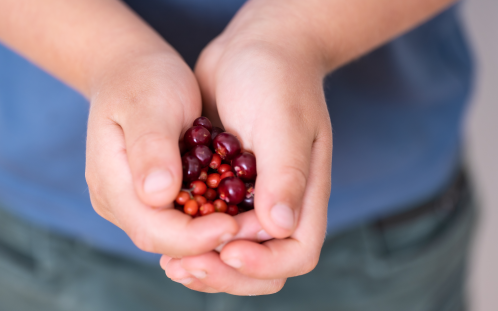 Eine Handvoll Beeren