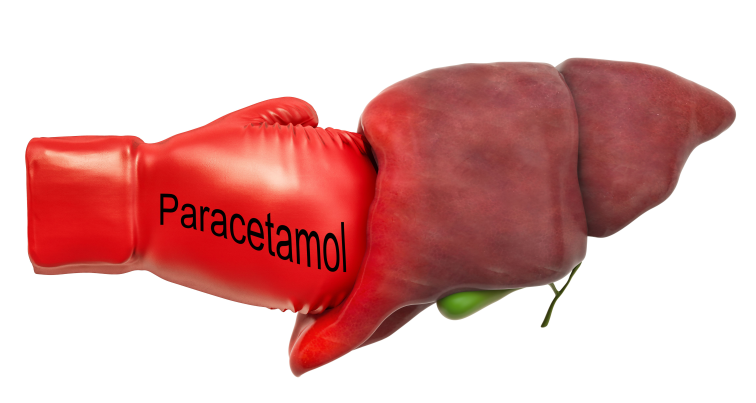 Immagine: Il paracetamolo attacca il fegato